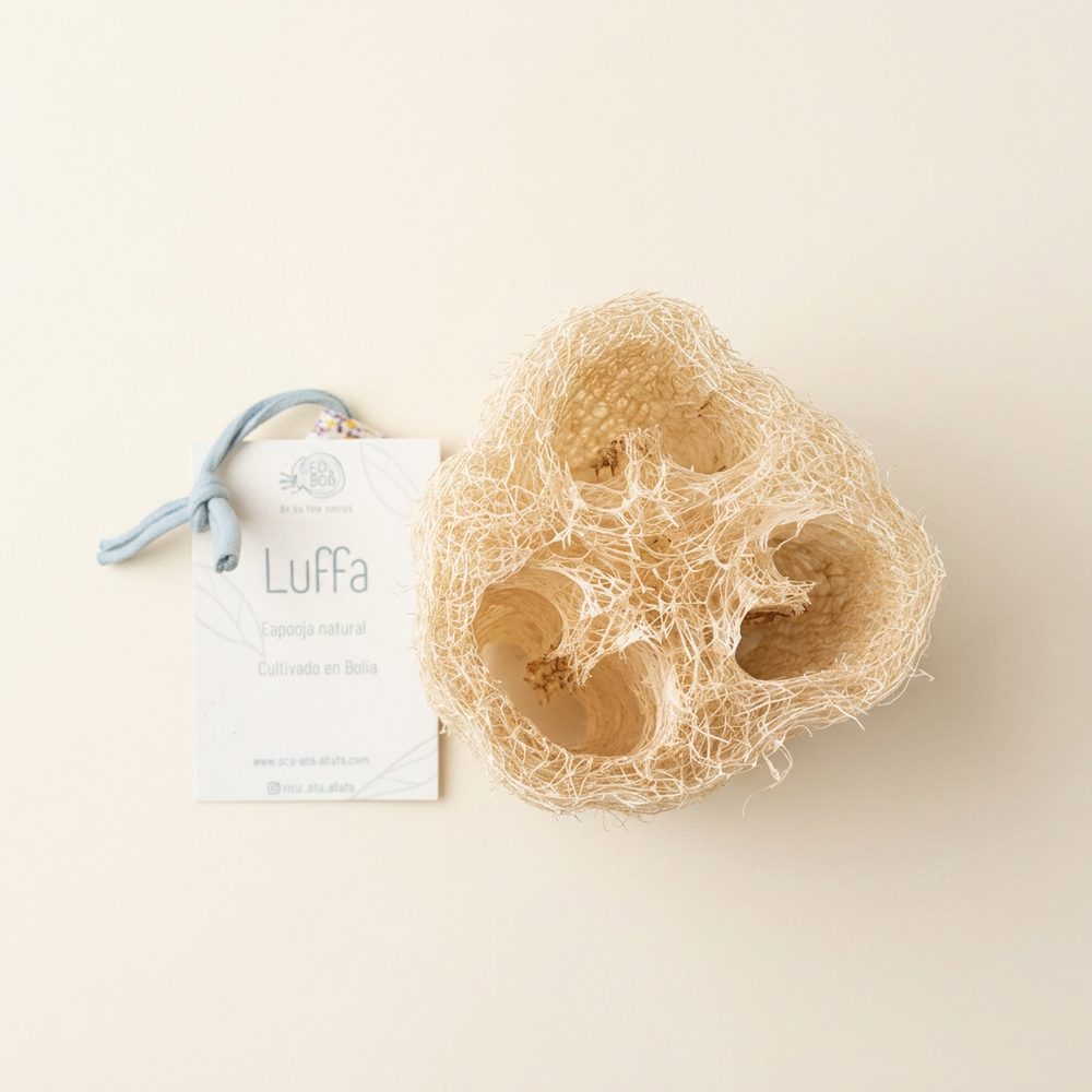 Luffa groot