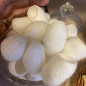 Zijde cocons