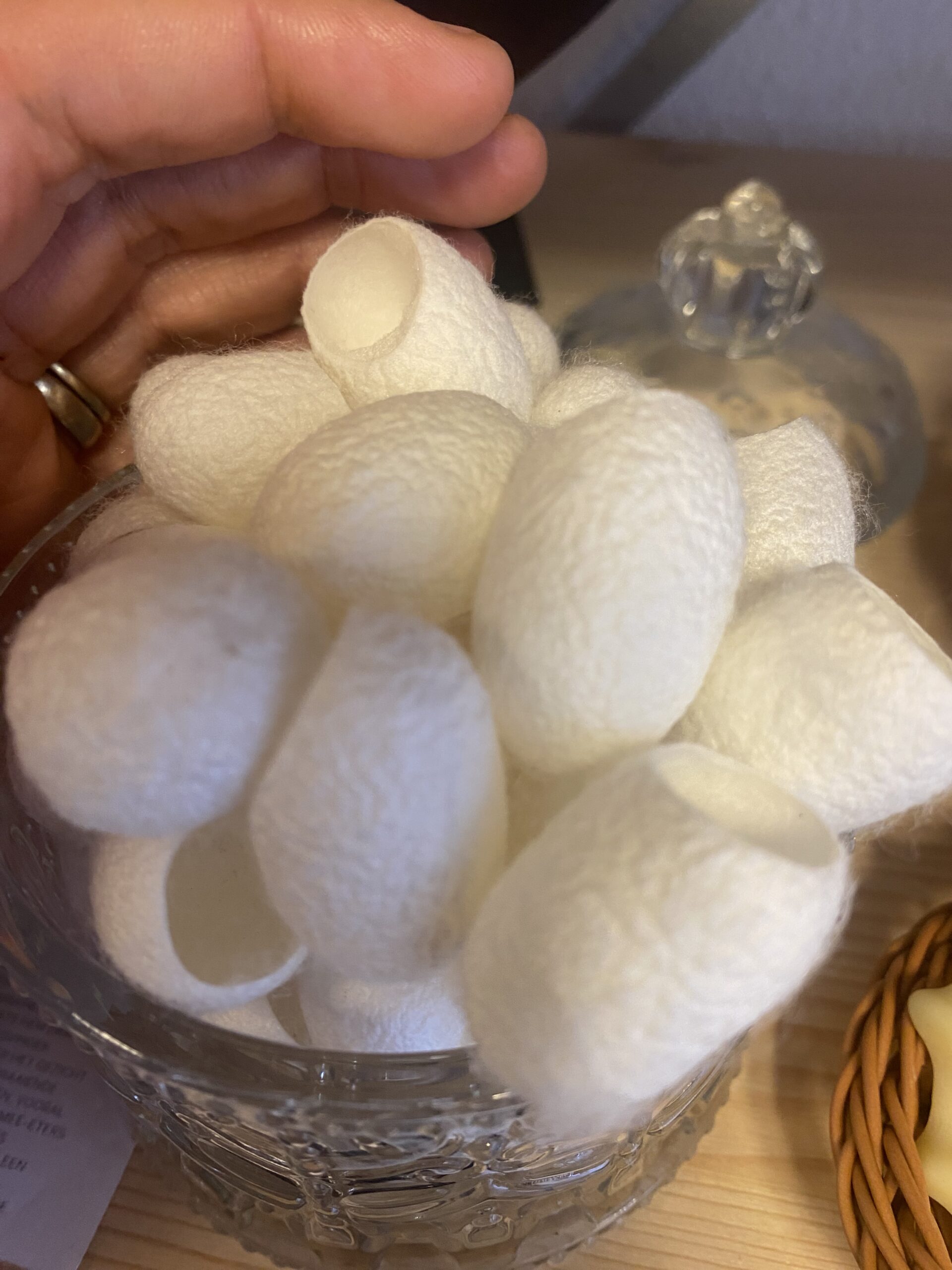 Zijde cocons