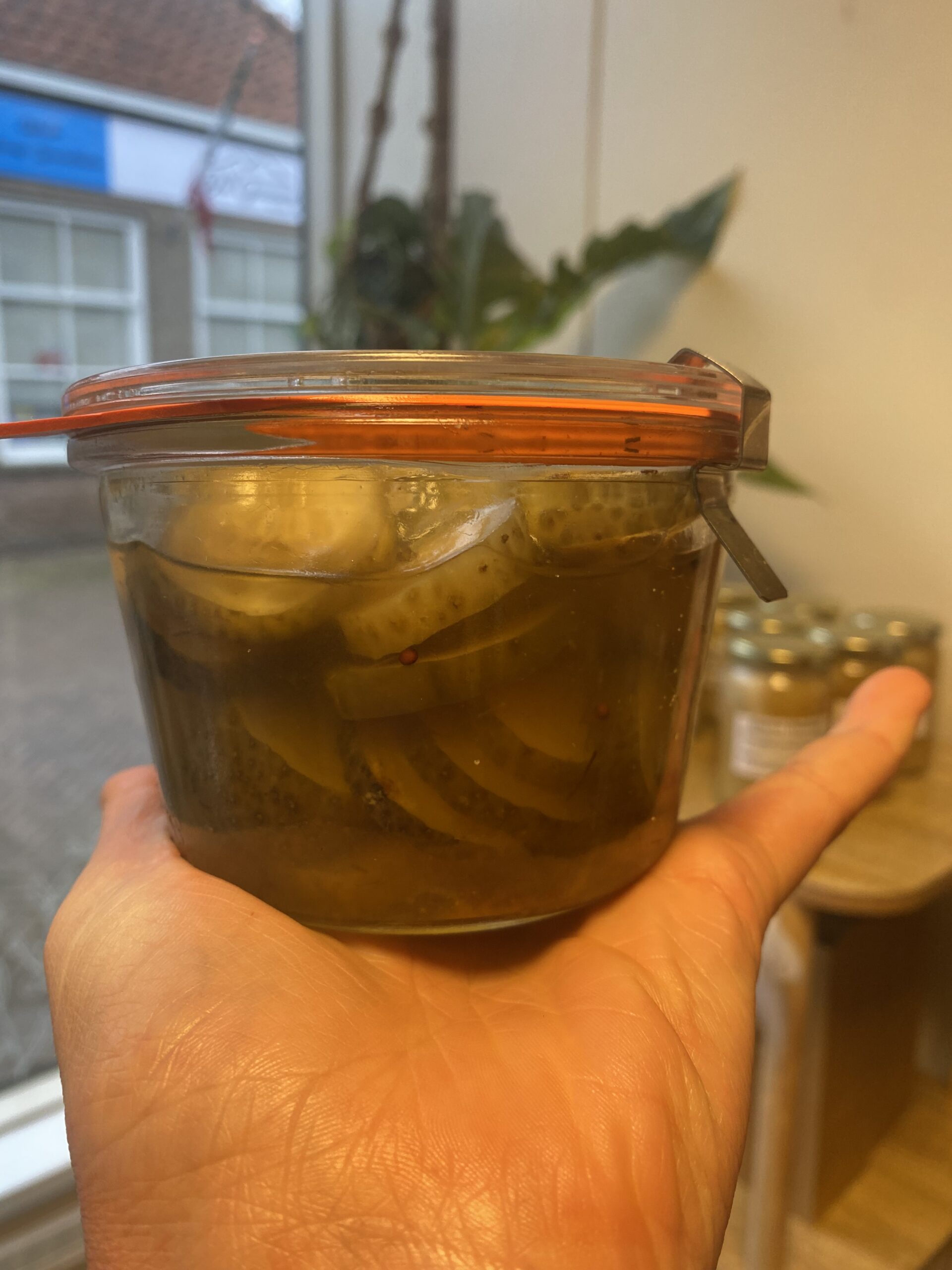 Augurken ingemaakt