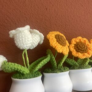Gehaakte bloemetjes